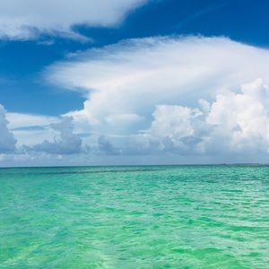 Meet your Posher, Kalee